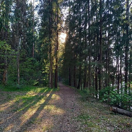 Ozolu Gatve 2- No Cesim 7 Km Διαμέρισμα Jānamuiža Εξωτερικό φωτογραφία