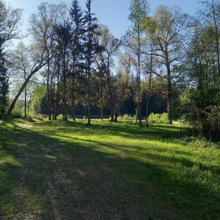 Ozolu Gatve 2- No Cesim 7 Km Διαμέρισμα Jānamuiža Εξωτερικό φωτογραφία